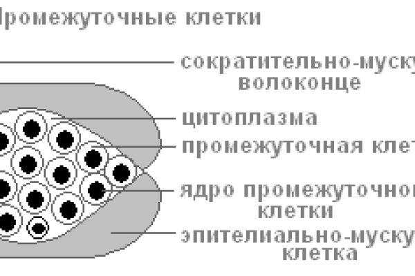 Kraken ссылка tg