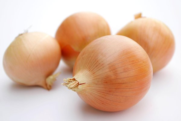 Kraken darknet onion