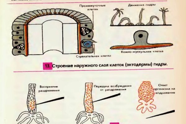 Как попасть на сайт кракен